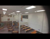 Bat got stuck fly around school library