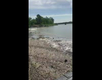 Car pulls guy on board fail mud