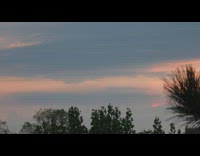 Time lapse of sunset clouds with plants