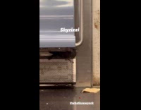 Pigeon stuck underneath subway seat gaps