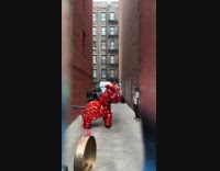 Lion dance performer practice in an alley