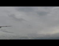 Bird spotted flies perfectly around the runway