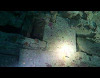 Collab DailyDoseOfInternet - Deadly species of fishes filmed underwater