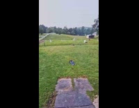 Woman kicks face of woman behind her