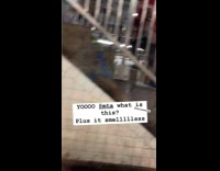 Collab WINY - Water leaks from pipes at subway ceiling Part 3