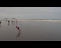 Boy speed skate in circles frozen lake