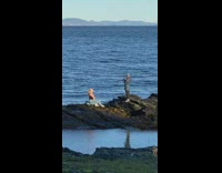 Girl black tube top sit rock beach