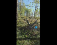 Girl squats rock falls backwards blue bucket