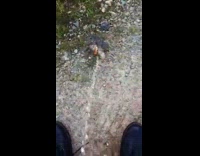 Guy pee on metallic sodium create explosion