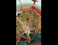 Man does daring climb of high radio tower and does some stunts