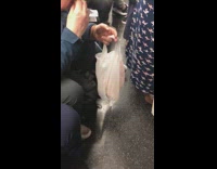 Old Hat Man Eats Bread Food Out of Plastic Grocery Bag