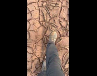 Man step on dried soil crunchy sound