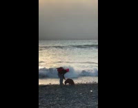 Woman commands dog for its beach photo