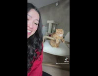 Orange cat sitting in chair like person 