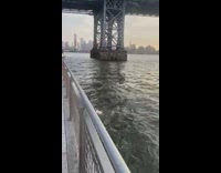 Guy catches volleyball with net in river