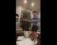 White dog pee pad dance shake 