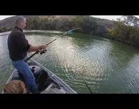 Guy on boat catches large sturgeon fish 
