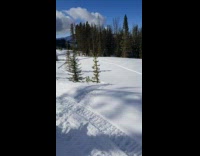 Guy rides motorcycle snowmobile 