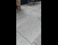 Man Carries Huge Teddy Bear on Shoulders 