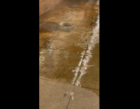 Collab WINY - Water overflow from drainage of subway floor