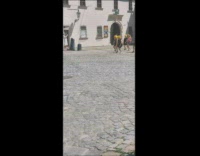 Group of women yellow wig dance outside