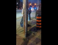 Baby rat chilling eat behind street sign