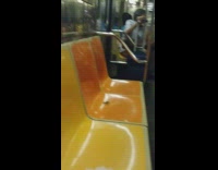 White dog on subway seat next to bug 