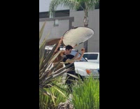 Guy photographs food outside round light reflector 