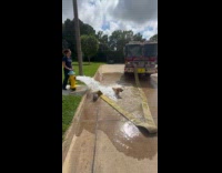 Dog lay down in front of open fire hydrant