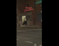 Drunk guy steps and falls down with to go food on sidewalk