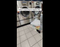 Soap suds leaks outside the washing machine