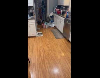 Mom grabbed wrong apple watch to charge