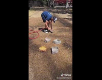 Room renovated in the house for the pet reptiles 