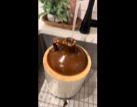 Thrifted vintage crock full of dead carcasses