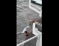 Man shirtless photoshoot at the beach shore Part 2