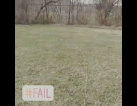 black corgi running to catch frisbee and misses it