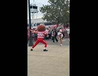 Person in Brutus mascot poses on street
