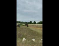 Guy in dune buggy jumps over grass hill