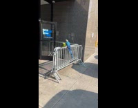 Collab WINY - Blue and green parrot on metal barricade