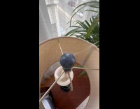 Man shows tiny spiders crawling on lamp