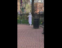 3 models freeze in white 