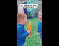 Two little boys laugh hysterically orange drink 