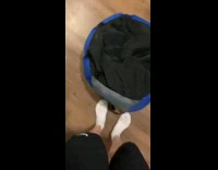 Pug under bed walk drag bump things