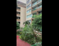 Cat arms hang on balcony glass railings