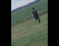 Guy jumps kicks trump pence sign fail 