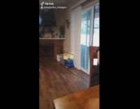 Girl makes pun foot bowl football guy 