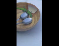 green lizard licking brown bowl