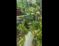 Guy makes rainbow with watering hose 