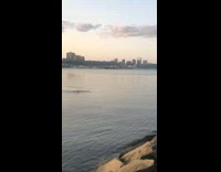 Guy green swim cap swims hudson river 