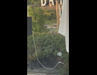 Pink dress girl films guy dance sign 